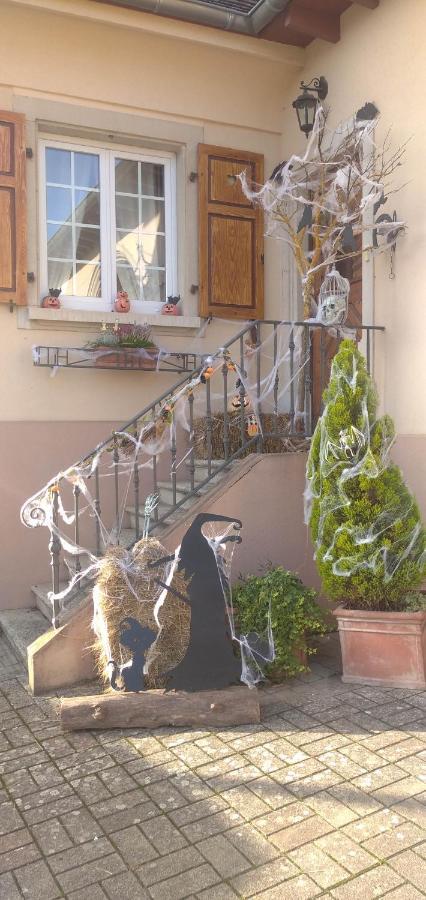 Les Cocottes Apartment Zellwiller